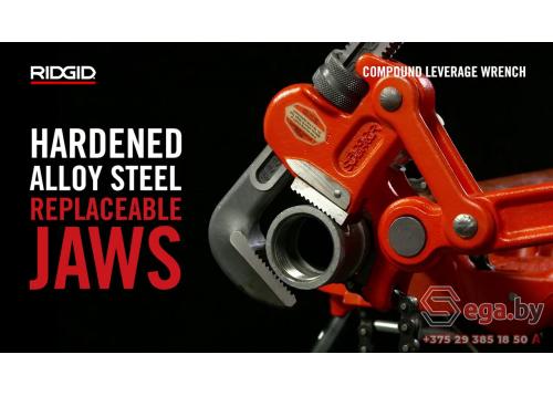 Embedded thumbnail