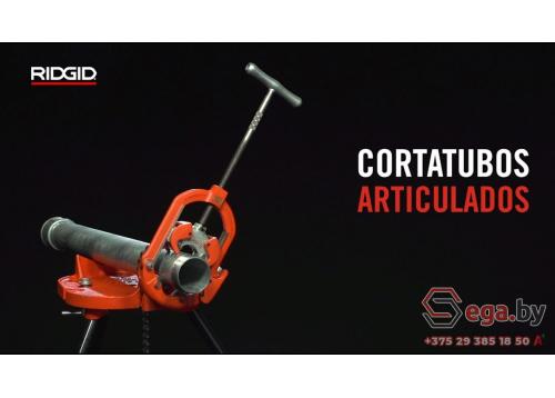 Embedded thumbnail